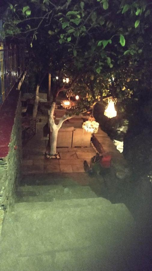 Lemon Tree House Ostello Mpatsi Esterno foto